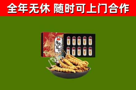 德化县回收冬虫夏草价格